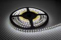 Лента светодиодная ELF 300SMD3528 белая 5 м